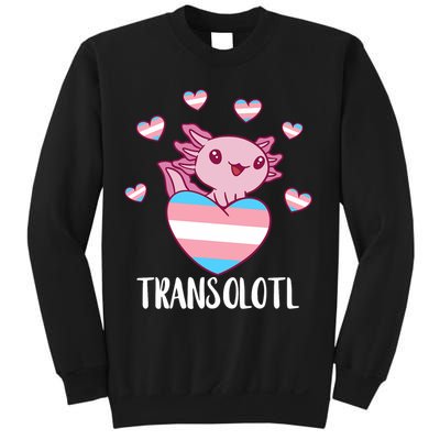 Transgende.r Happy Axolotl LGBTQ Tran.s Pride Equality Sweatshirt