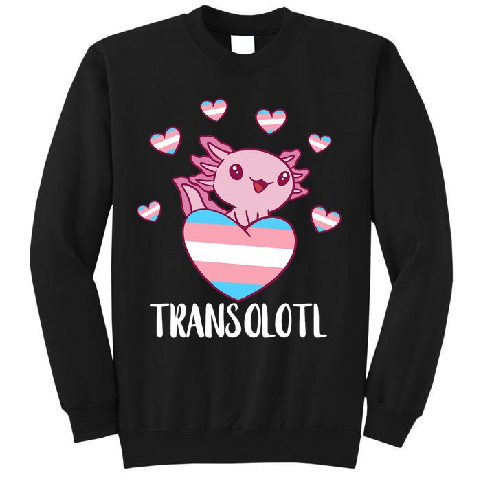 Transgende.r Happy Axolotl LGBTQ Tran.s Pride Equality Sweatshirt