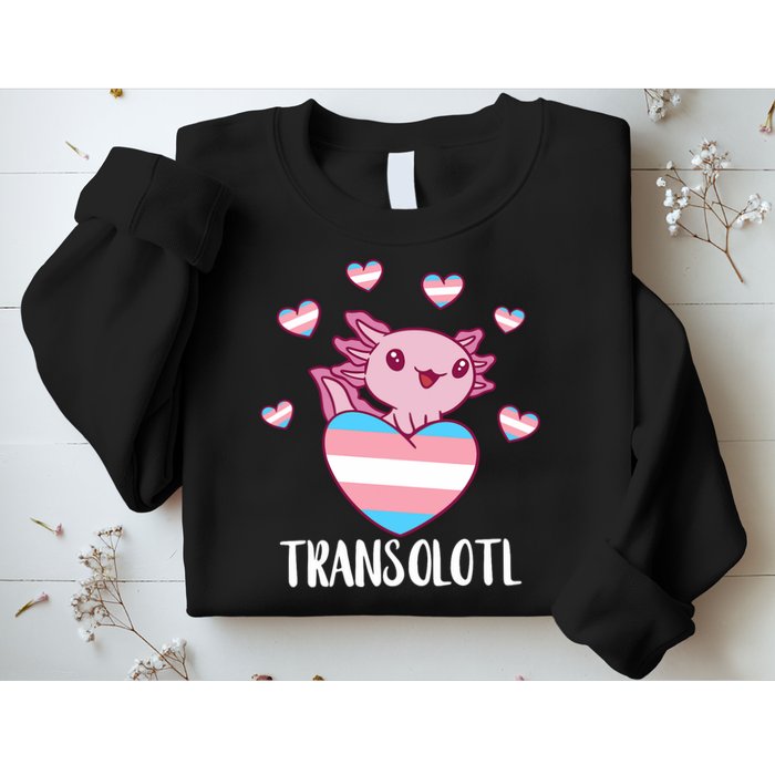 Transgende.r Happy Axolotl LGBTQ Tran.s Pride Equality Sweatshirt