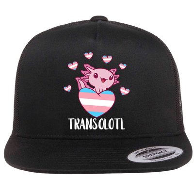 Transgende.r Happy Axolotl LGBTQ Tran.s Pride Equality Flat Bill Trucker Hat