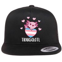 Transgende.r Happy Axolotl LGBTQ Tran.s Pride Equality Flat Bill Trucker Hat