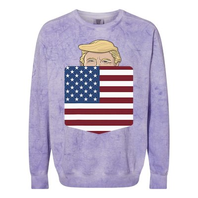 Trump Hugging An Orange Cat 2024 Colorblast Crewneck Sweatshirt