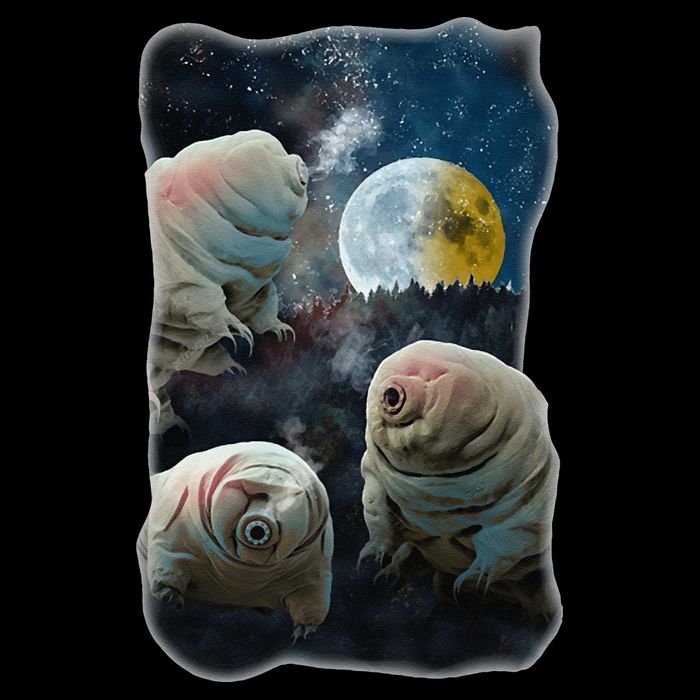 Tardigrades Howling At Moon Funny Tardigrade Lovers Costume City Backpack