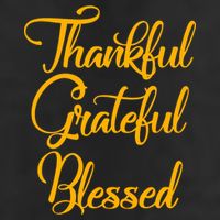 Thankful Grateful Blessed Gold Thanksgiving Logo 7 Panel Mesh Trucker Snapback Hat