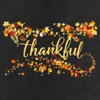 Thankful Thanksgiving Fall Autumn Leaves Adult Drive Performance Visor