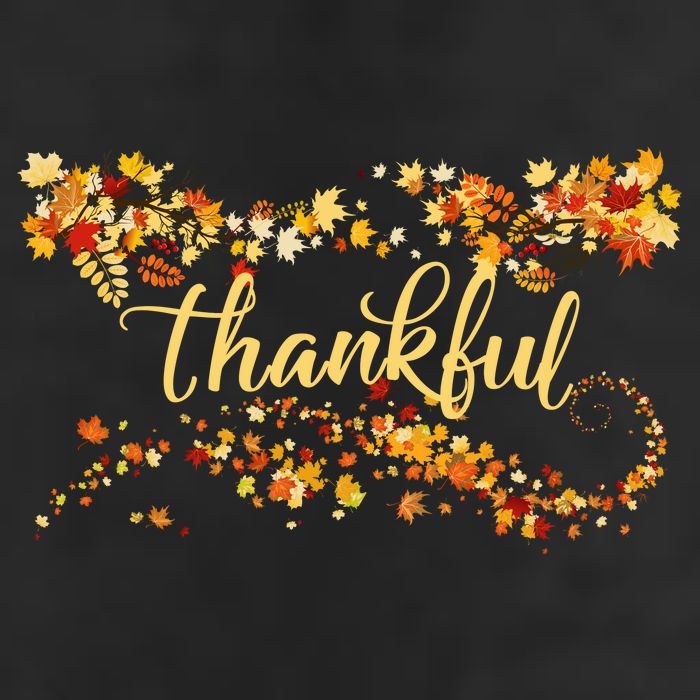 Thankful Thanksgiving Fall Autumn Leaves Adult Drive Performance Visor