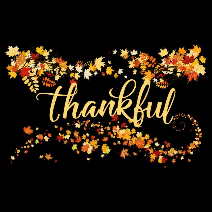 Thankful Thanksgiving Fall Autumn Leaves Flatbill Hat