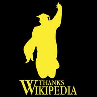 Thanks Wikipedia Women's Crop Top Tee