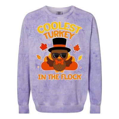 Thanksgiving Cute Coolest Turkey In The Flock Colorblast Crewneck Sweatshirt