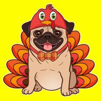 Thanksgiving Turkey Pug 11oz C Handle Ceramic Mug
