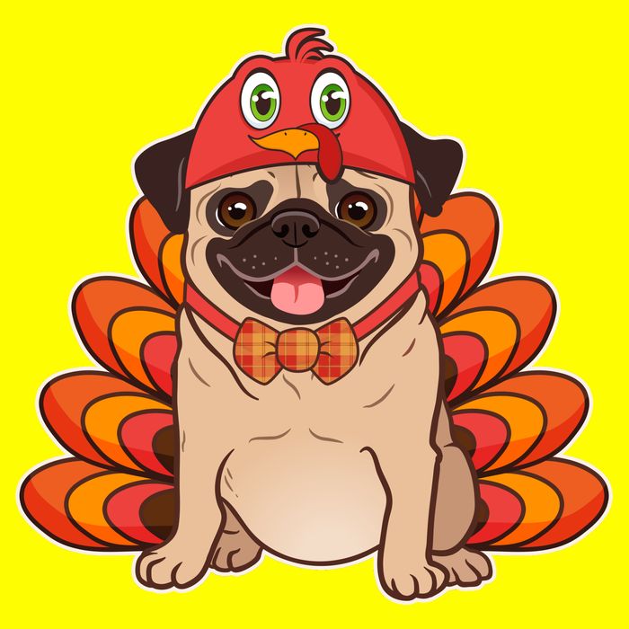 Thanksgiving Turkey Pug 11oz C Handle Ceramic Mug