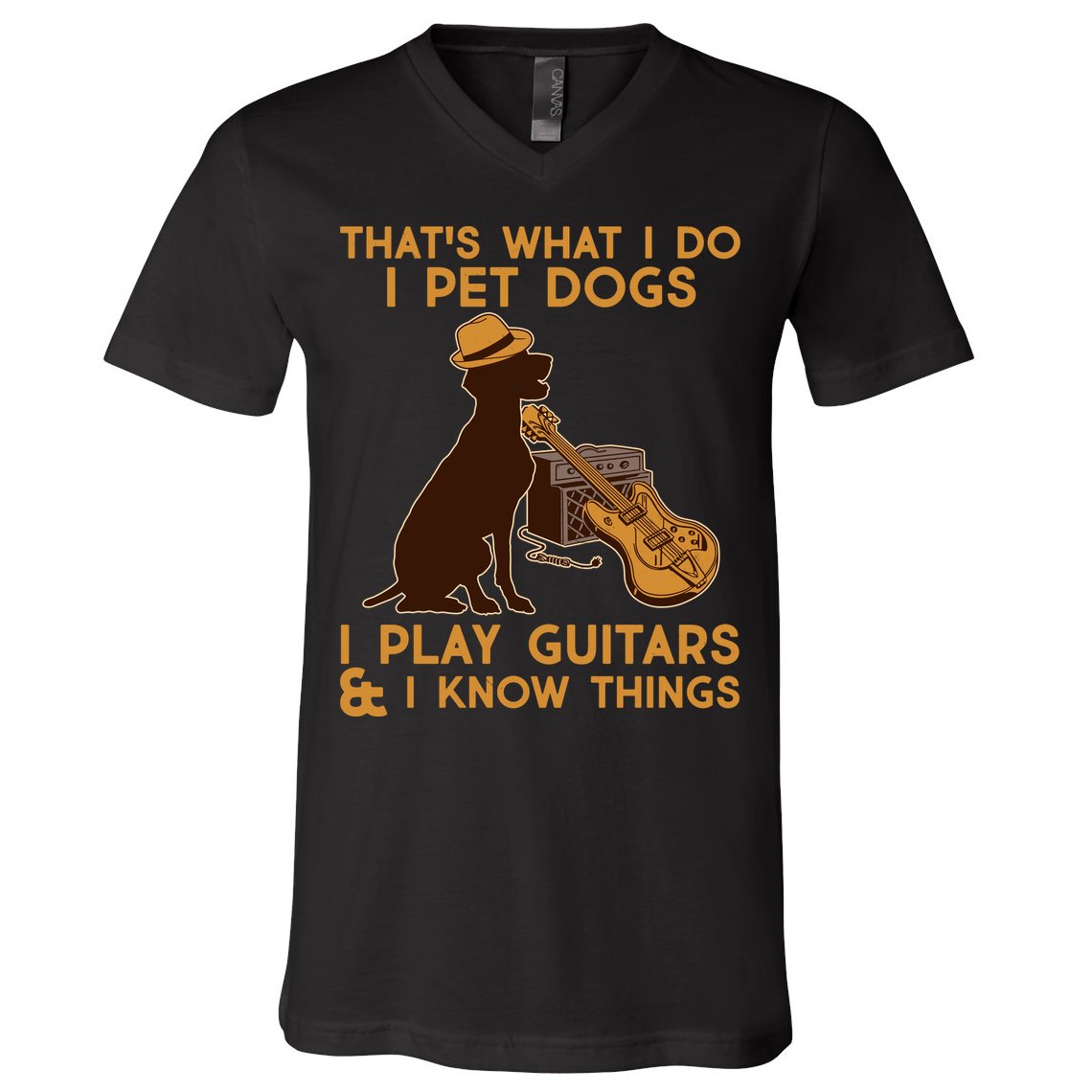 That's What I Do I Pet Dogs I Play Guitars and I Know Things Music  V-Neck T-Shirt