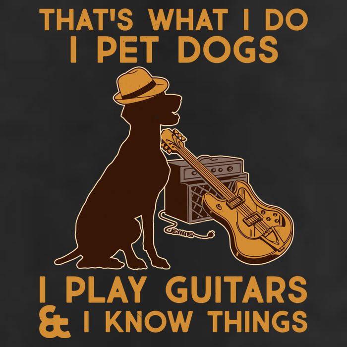 That's What I Do I Pet Dogs I Play Guitars and I Know Things Music  Adult Drive Performance Visor