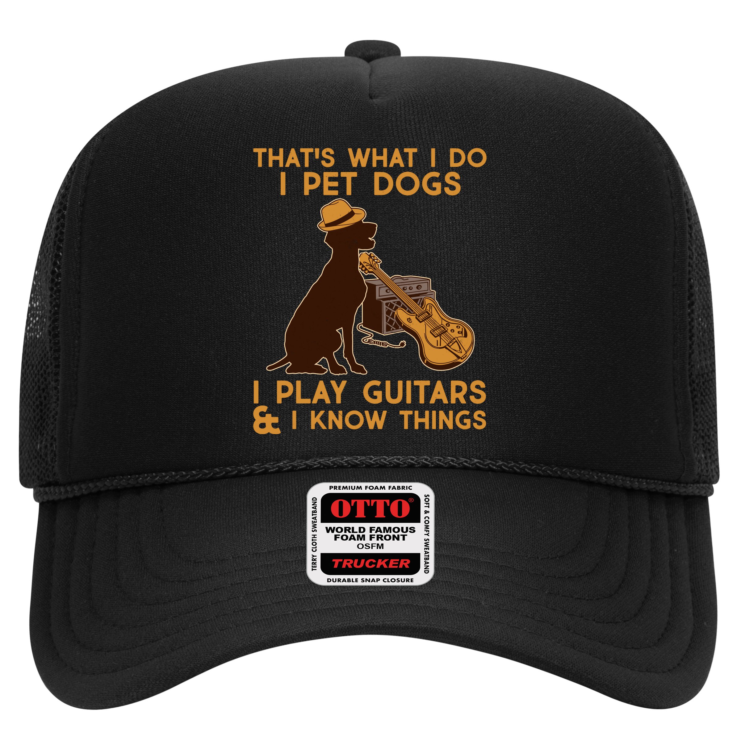 That's What I Do I Pet Dogs I Play Guitars and I Know Things Music  Hat