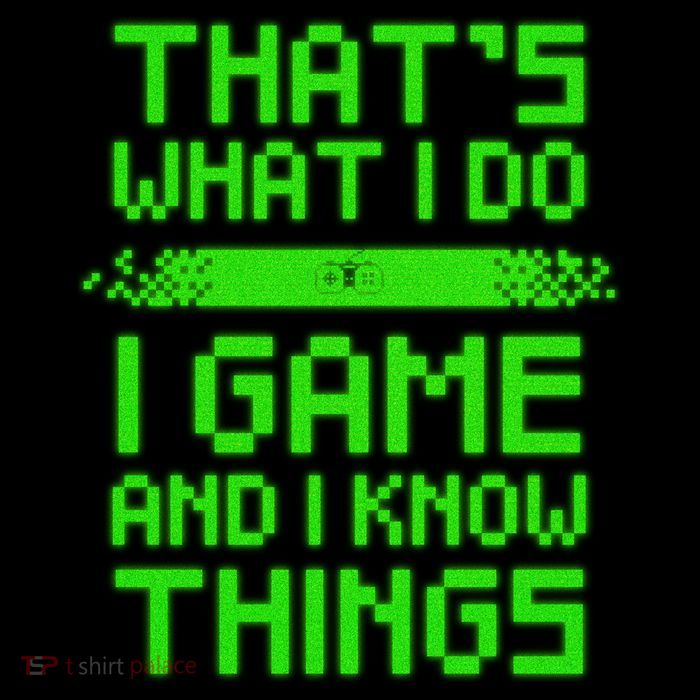 That's What I Do Play Games And I Know Things Premium T-Shirt