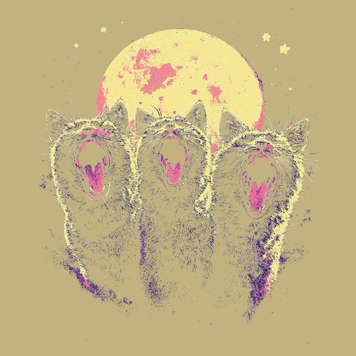 Three Headed Cat Meme Hiss Meowing Full Moon Phase Button
