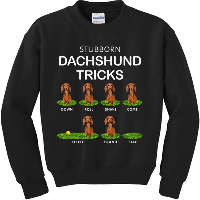 Thick Headed Dog Funny Long Hair Dachshund For Christmas Kids Sweatshirt