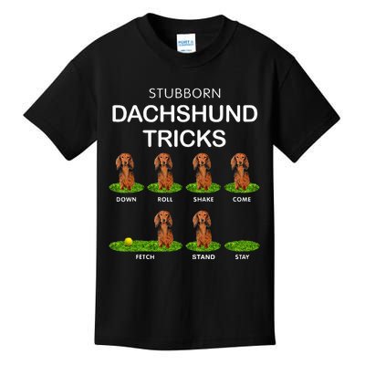 Thick Headed Dog Funny Long Hair Dachshund For Christmas Kids T-Shirt