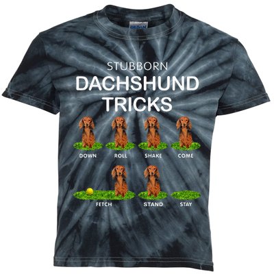 Thick Headed Dog Funny Long Hair Dachshund For Christmas Kids Tie-Dye T-Shirt