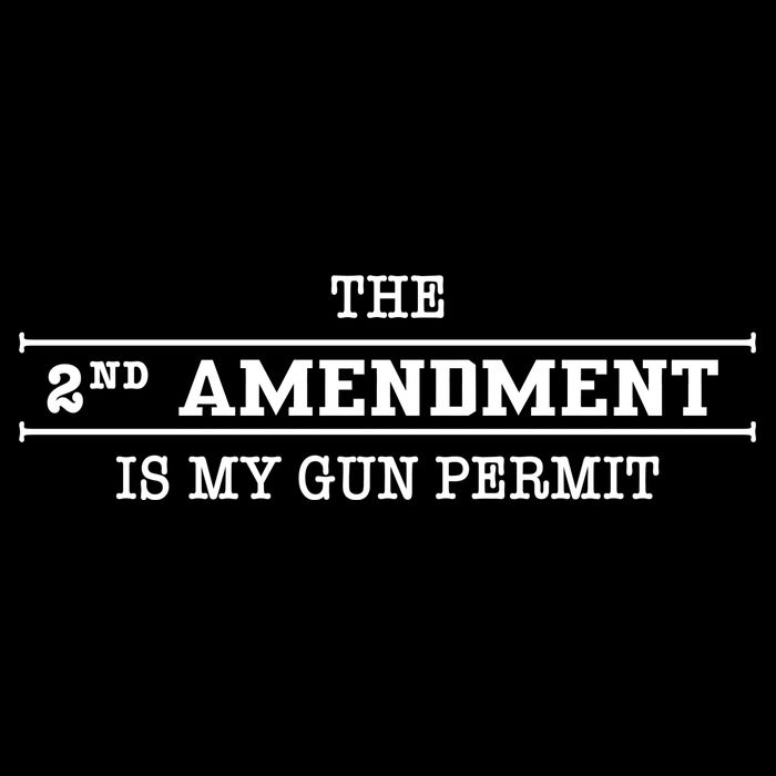 The 2nd Amendment Is My Gun Permit Wool Snapback Cap