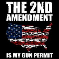 The 2nd Amendment Is My Gun Permit American Gun Flag Tall T-Shirt