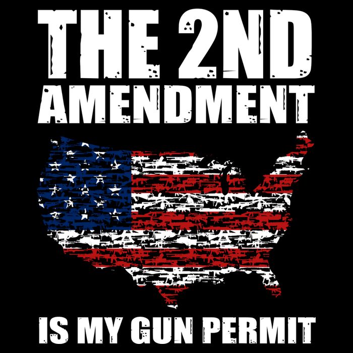 The 2nd Amendment Is My Gun Permit American Gun Flag 16 in Basic Backpack