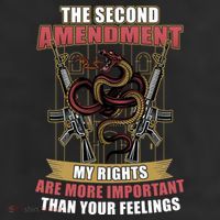 The 2nd Amendment My Rights Are More Important Than Your Feelings Beanie
