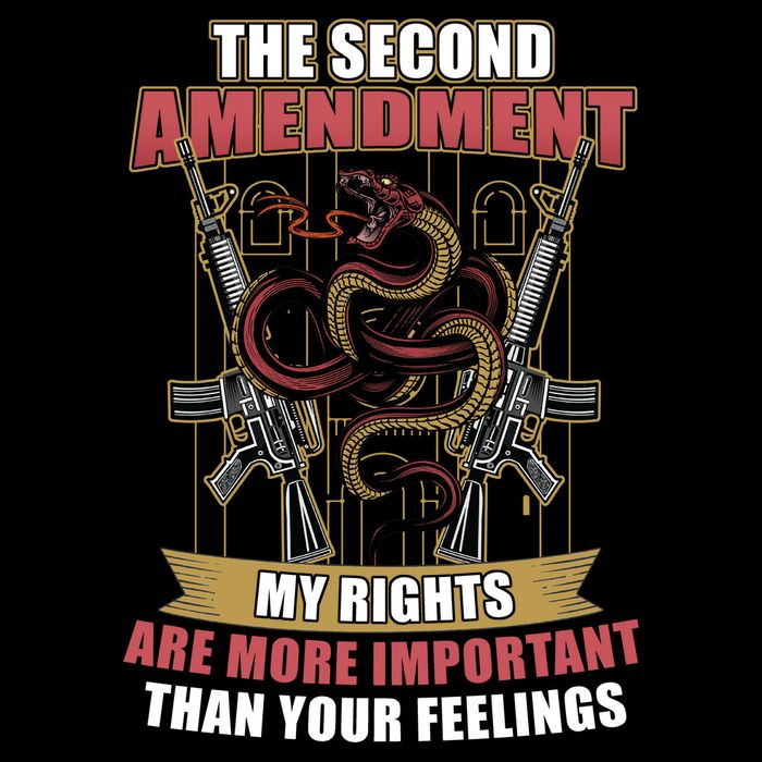 The 2nd Amendment My Rights Are More Important Than Your Feelings Ladies Long Sleeve Shirt