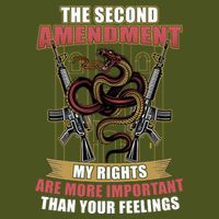 The 2nd Amendment My Rights Are More Important Than Your Feelings Sustainable Knit Beanie
