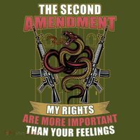 The 2nd Amendment My Rights Are More Important Than Your Feelings Short Acrylic Beanie