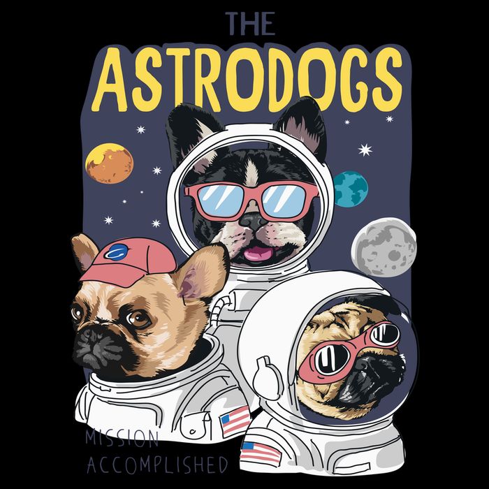 The Astrodogs Astronauts Dogs In Space Sustainable Bucket Hat