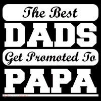 The Best Dads Get Promoted To Papa T-Shirt
