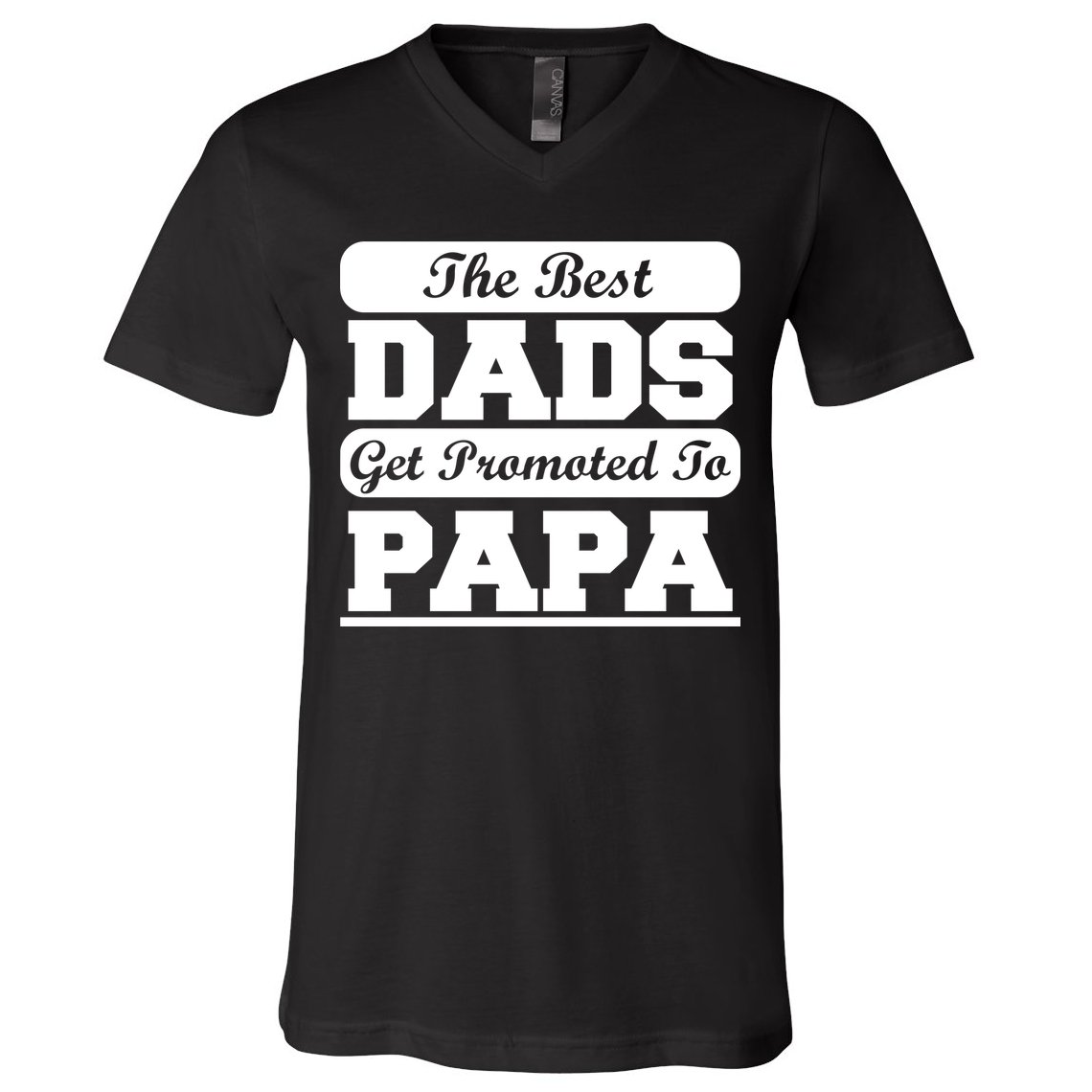The Best Dads Get Promoted To Papa V-Neck T-Shirt