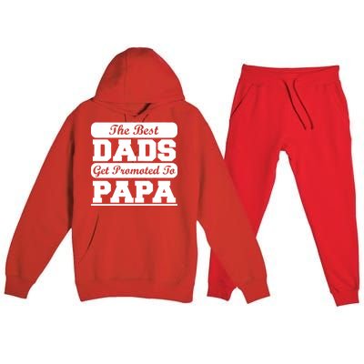 The Best Dads Get Promoted To Papa Premium Hooded Sweatsuit Set