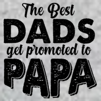 The Best Dads Get Promoted To Papa New Grandfather T-Shirt