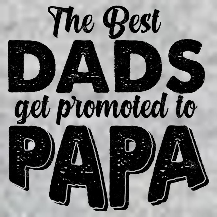 The Best Dads Get Promoted To Papa New Grandfather T-Shirt
