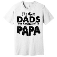 The Best Dads Get Promoted To Papa New Grandfather Premium T-Shirt