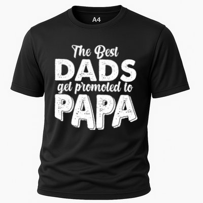 The Best Dads Get Promoted To Papa New Grandfather Performance Shirt