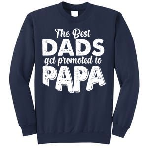 The Best Dads Get Promoted To Papa New Grandfather Sweatshirt