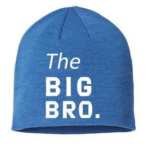 The Big Brother Sustainable Beanie