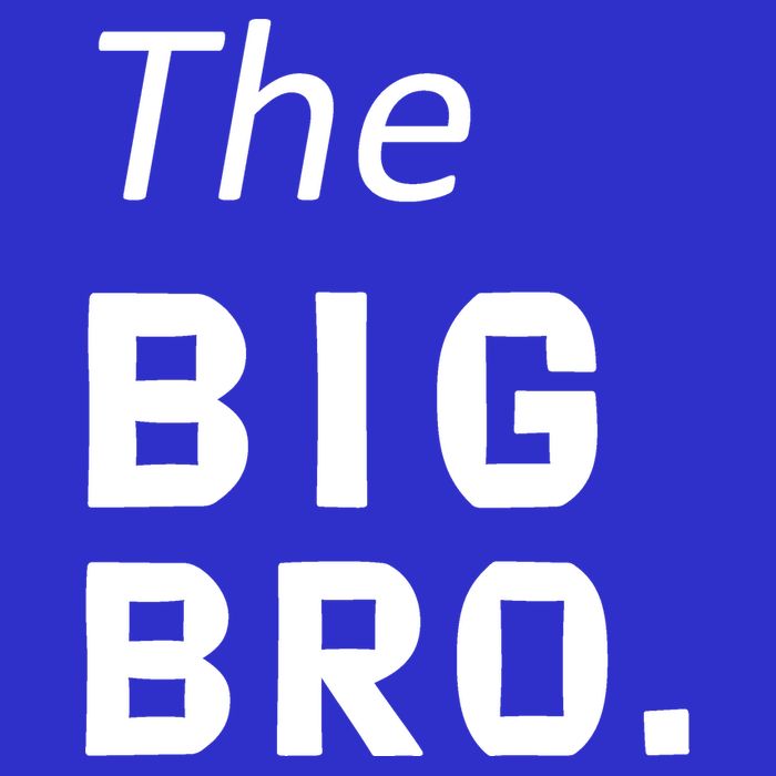 The Big Brother Premium T-Shirt
