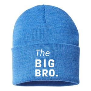 The Big Brother Sustainable Knit Beanie