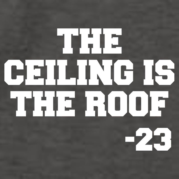 The Ceiling is the Roof 23 MJ College Text Vector Backpack