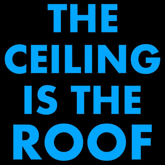 The Ceiling is the Roof MJ Funny Quote City Backpack