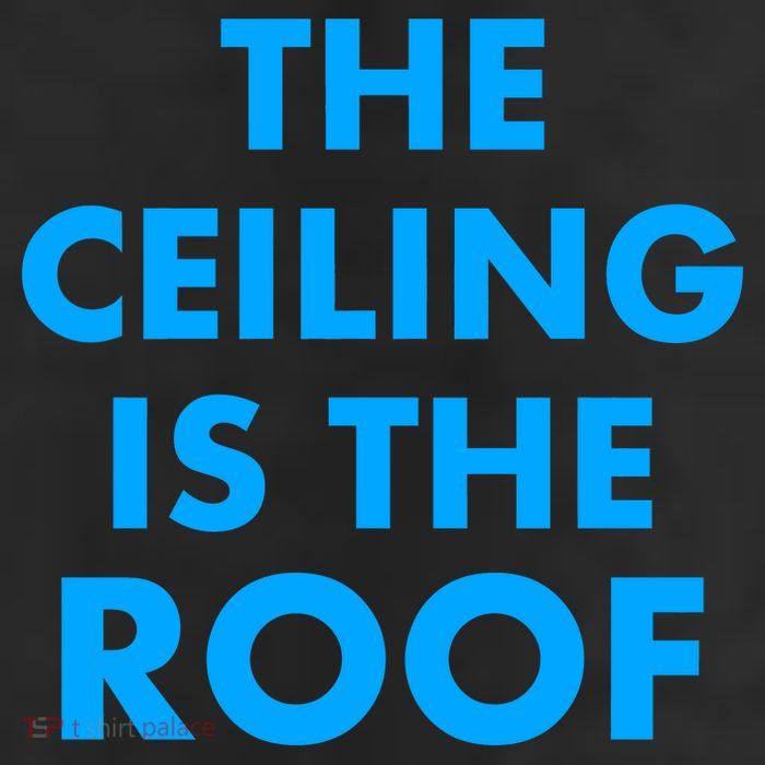 The Ceiling is the Roof MJ Funny Quote 11oz C Handle Ceramic Mug