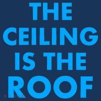 The Ceiling is the Roof MJ Funny Quote Performance Shirt