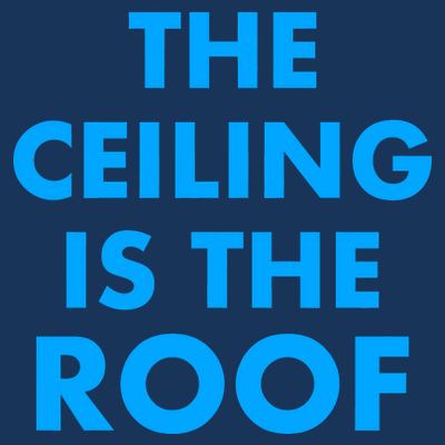 The Ceiling is the Roof MJ Funny Quote T-Shirt