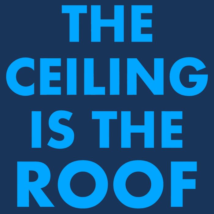 The Ceiling is the Roof MJ Funny Quote Toddler T-Shirt