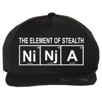 The Element of Stealth Ninja Wool Snapback Cap