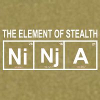 The Element of Stealth Ninja Garment-Dyed Women's Muscle Tee